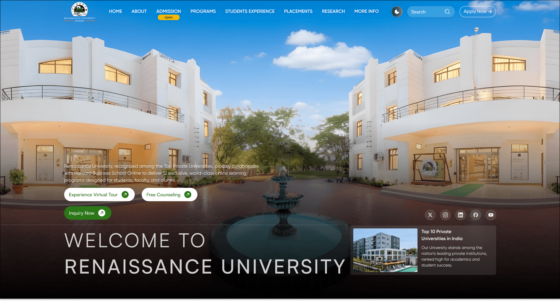 Renaissance University